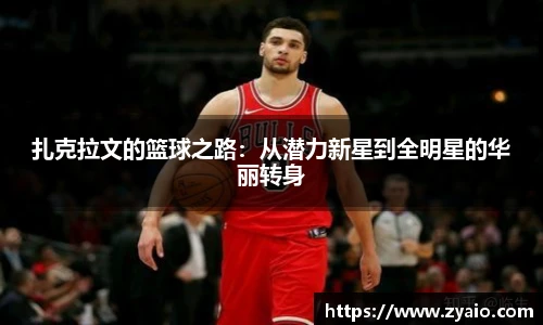 今年会jinnianhui官网